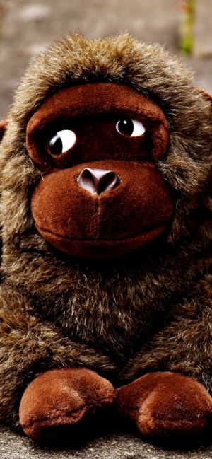 ゴリラのぬいぐるみ