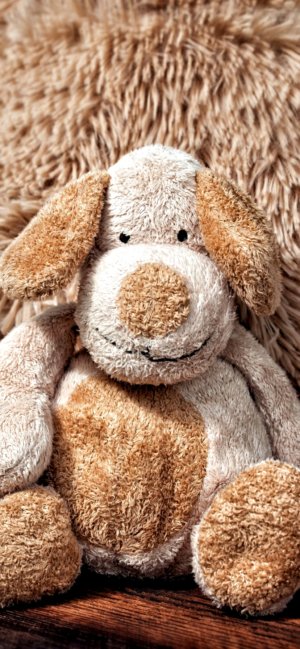 犬のぬいぐるみ