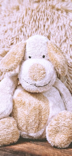 犬のぬいぐるみ