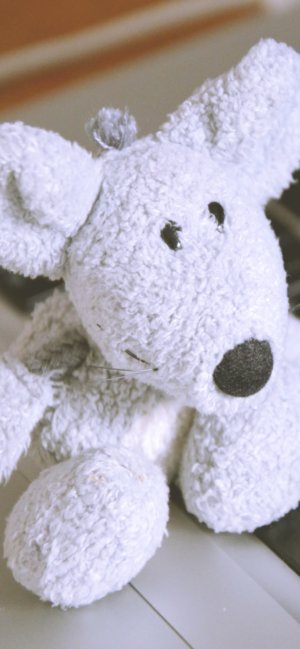 ネズミのぬいぐるみ