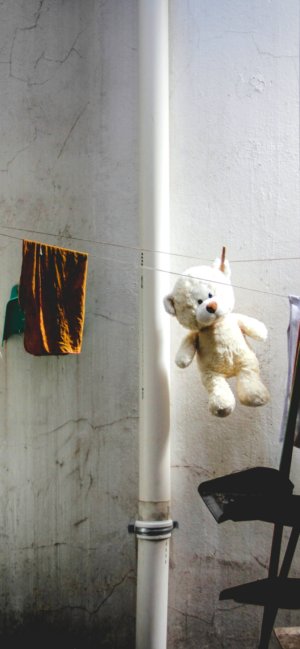 干されたくまのぬいぐるみ