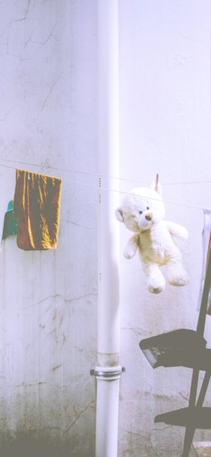 干されたくまのぬいぐるみ