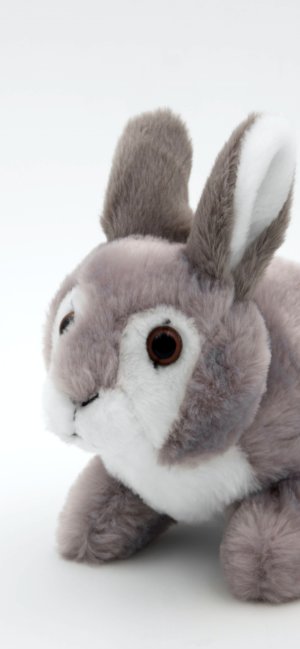 ウサギのぬいぐるみ