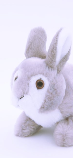 ウサギのぬいぐるみ