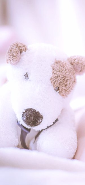 犬のぬいぐるみ