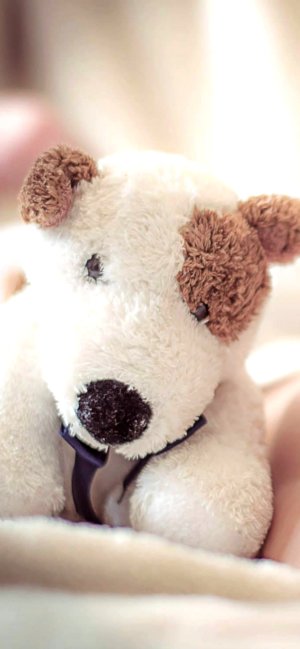 犬のぬいぐるみ