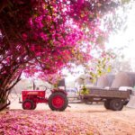 Twitterのヘッダーサイズピッタリなピンクのフリー画像が取り放題