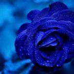 iPhone8・7・6・6s・SE青い無料壁紙ロック画面・ホーム画面用配信中