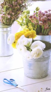 白いラナンキュラス