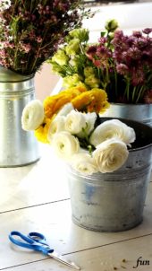 白いラナンキュラス