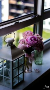 窓際のシャクヤク