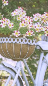 白い自転車と花