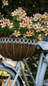 白い自転車と花