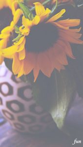 個性的な花器とひまわり