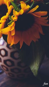 個性的な花器とひまわり