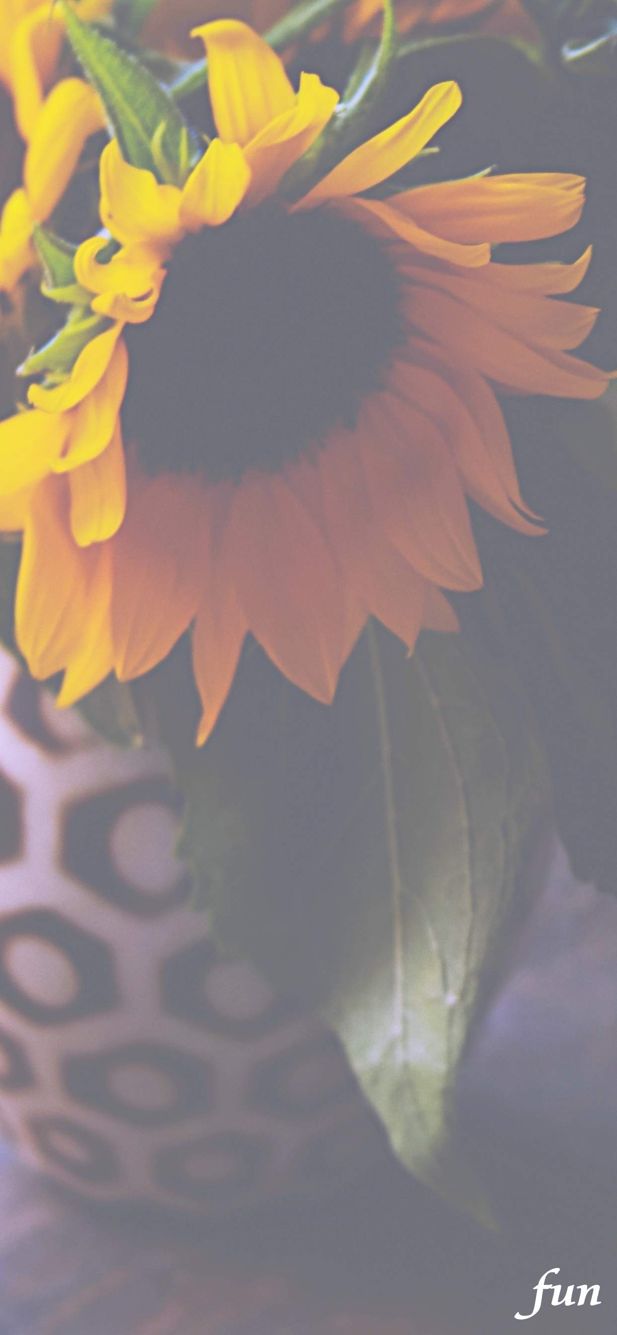 Iphone11promax Xsmaxのおしゃれな花画像の無料壁紙 待受けを配信中 ページ7
