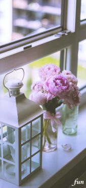 窓際のピンクのしゃくやく