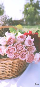 カゴに飾った花