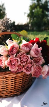 カゴに飾った花