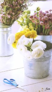 白いラナンキュラス