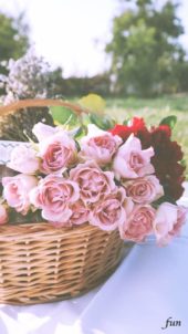 カゴに飾ったピンクのバラ