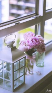 窓際のシャクヤク