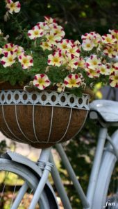 白い自転車と花