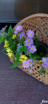 カゴに飾った花