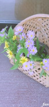 カゴに飾った花