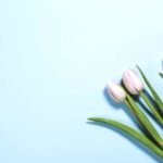 LINEプロフィール背景を青のイメージのフリー画像で配信中