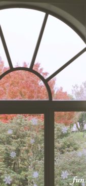 窓ごしに見る秋の紅