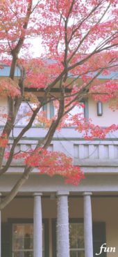 秋の木と古い洋館