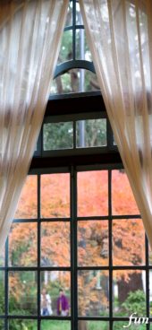 窓から見える秋の風景