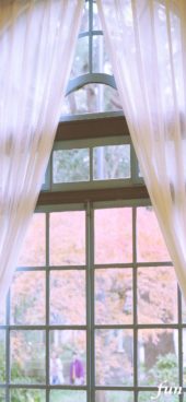 窓から見える秋の風景