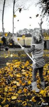 落葉と小さい女の子