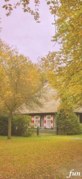 秋のバンガロー