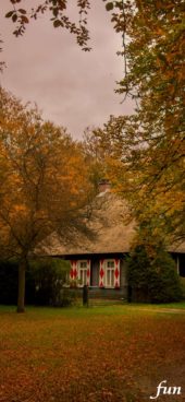 秋のバンガロー