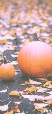 落葉とかぼちゃ