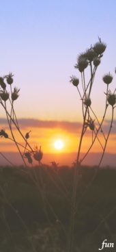 秋のサンセット