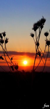 秋のサンセット