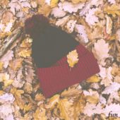 落葉とニット帽