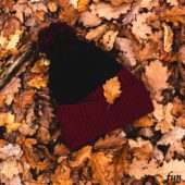 落葉とニット帽