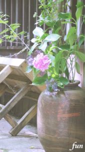 陶器に飾れた花