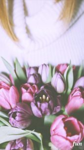 くすみカラーのチューリップ