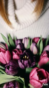 くすみカラーのチューリップ