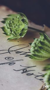 手書きの7手紙と花