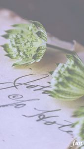 手書きの7手紙と花