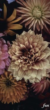 くすみカラーの花