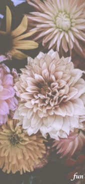 くすみカラーの花