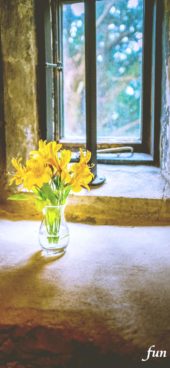 窓辺に飾った黄色の花